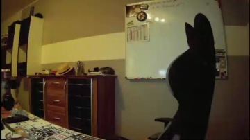 bigsexybohne  26-10-2021 Recorded Video Download